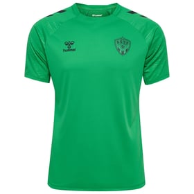 Herren ASSE 2024/25 Drittes Authentisch Training Trikot – Grün