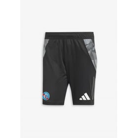 Herren Straßburg 2024/25 Drittes Authentisch Training Shorts – Grau