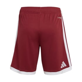 Herren Katar 2026 WM Heimshorts