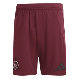 Men's Ajax 2024/25 Third 2nd Shorts