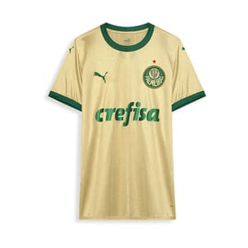 Women's Palmeiras 2024 Third Shirt