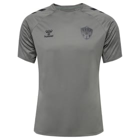 Herren ASSE 2024/25 Drittes Authentisch Training Trikot – Grau