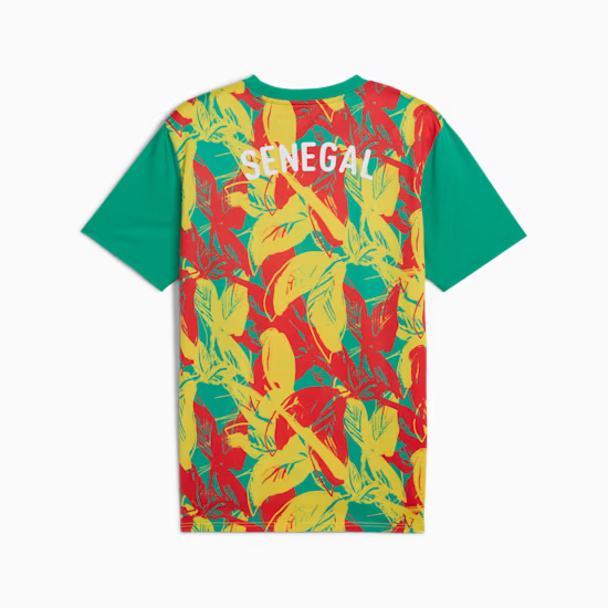 Herren Senegal 2025 Drittes Pre-Match-Shirt