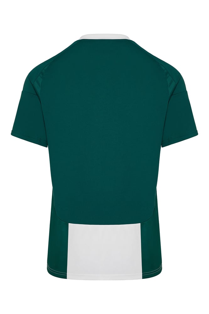 Men's Panathinaikos FC 2024/25 Home Shirt