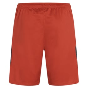 Herren Eintracht Frankfurt 2024 Dritt Authentische Trainingsshorts Europa