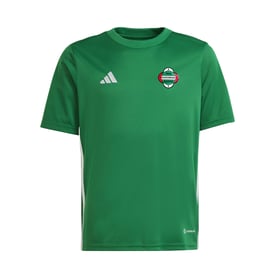 Kid's Radomiak Radom 2024/25 Third Authentic Training Shirt