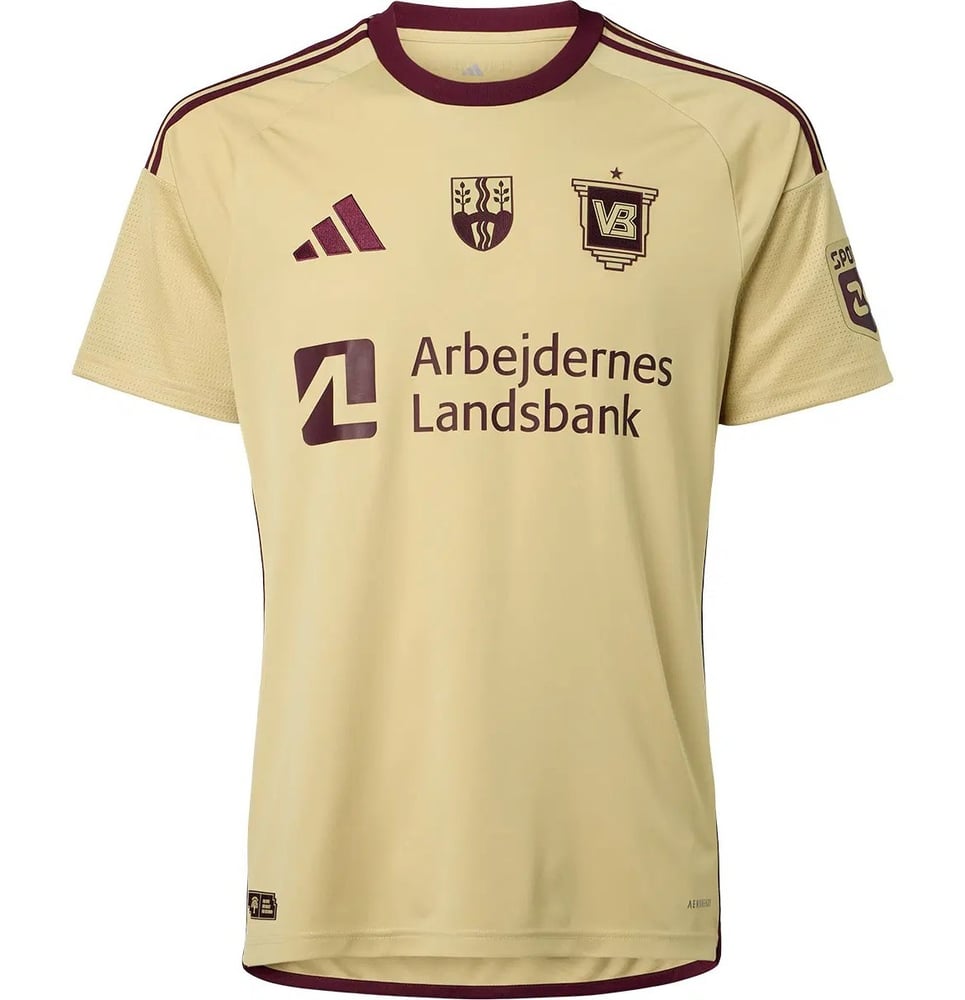 Damen Vejle BK 2024/25 Sondertrikot