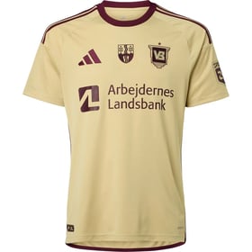 Damen Vejle BK 2024/25 Sondertrikot