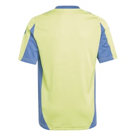 Kind Ajax 2024/25 Dritt Authentisches Trainingsshirt - Gelb