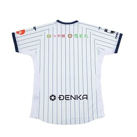 Women's Montedio Yamagata 2025 Away Shirt