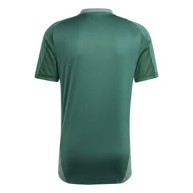 Kinder Granada CF 2024/25 Dritt Authentisches Trainingsshirt - Grün