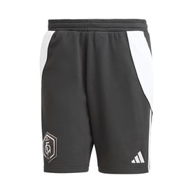 Men's FC Annecy 2024/25 Third Shorts