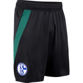 Herren FC Schalke 04 2024/25 Auswärts Shorts