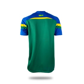 Women's Goiás 2024/25 Third Authentic Training Shirt