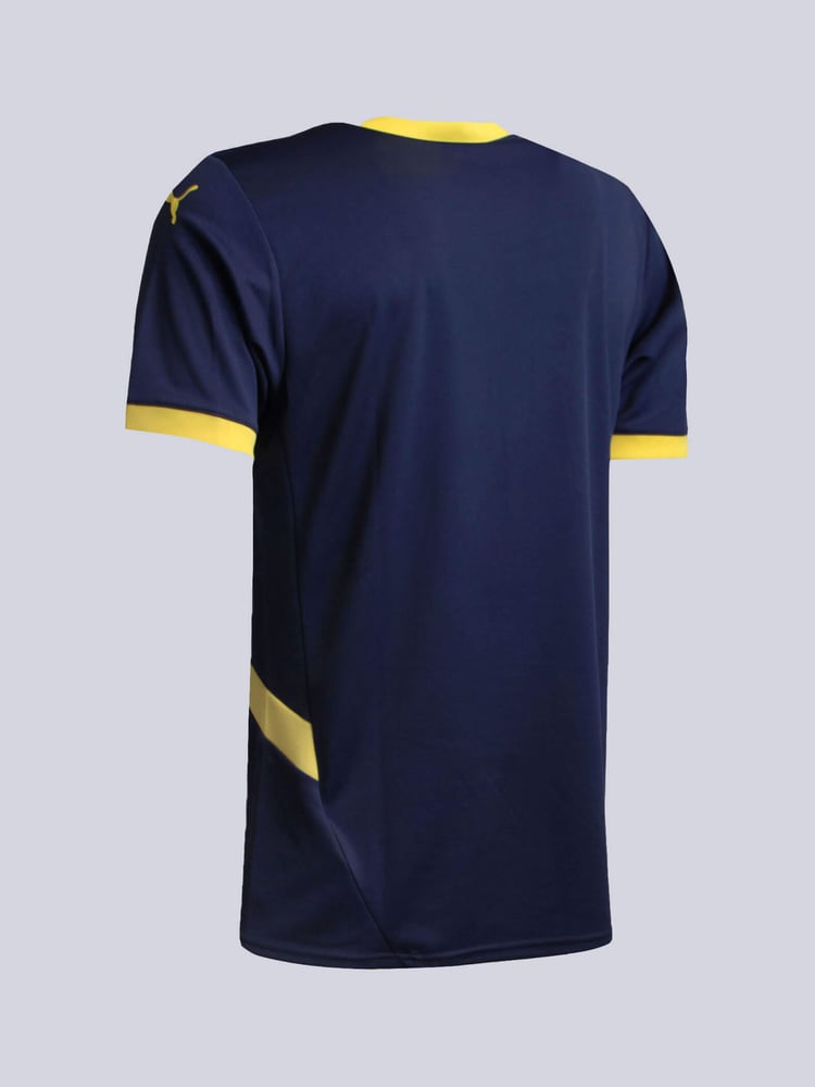 Damen Fenerbahce 2024/25 Sondertrikot