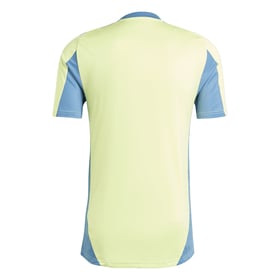 Herren Ajax 2024/25 Dritt Authentisches Trainingsshirt - Gelb