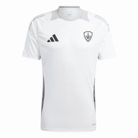 Herren Brest 2024/25 Drittes Authentisch Training Trikot – Weiß