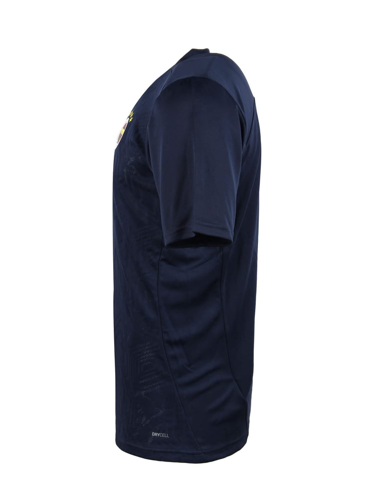 Herren Fenerbahce 2024/25 Dritt Authentic A-Team Trainingstrikot