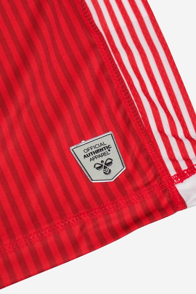 Herren Samsunspor 2024/25 Heim Authentic Vorbereitungs Matchtrikot