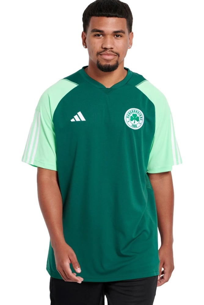 Women's Panathinaikos FC 2023/24 Third Authentic Training Shirt - Green
