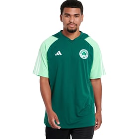 Women's Panathinaikos FC 2023/24 Third Authentic Training Shirt - Green