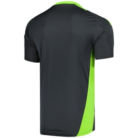 Herren Aston Villa 2024/25 Dritttrikot Training Authentic - Grau
