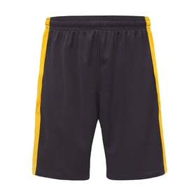 Herren Inter 2024/25 Drittshorts