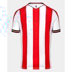 Herren Stoke City 2024/25 Heimtrikot