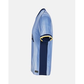 Herren Tottenham Hotspur 2024/25 Auswärts Trikot