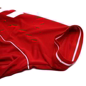 Camiseta Mundial 2026 Local Dinamarca Hombre