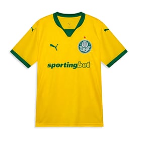 Herren Palmeiras 2025 Drittes Trikot