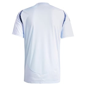 Herren Chicago Fire 2025 Auswärts Shirt