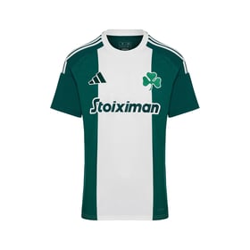 Men's Panathinaikos FC 2024/25 Home Shirt