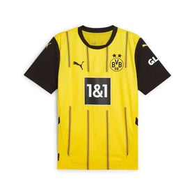 Herren Borussia Dortmund 2024/25 Heim Authentisch Trikot