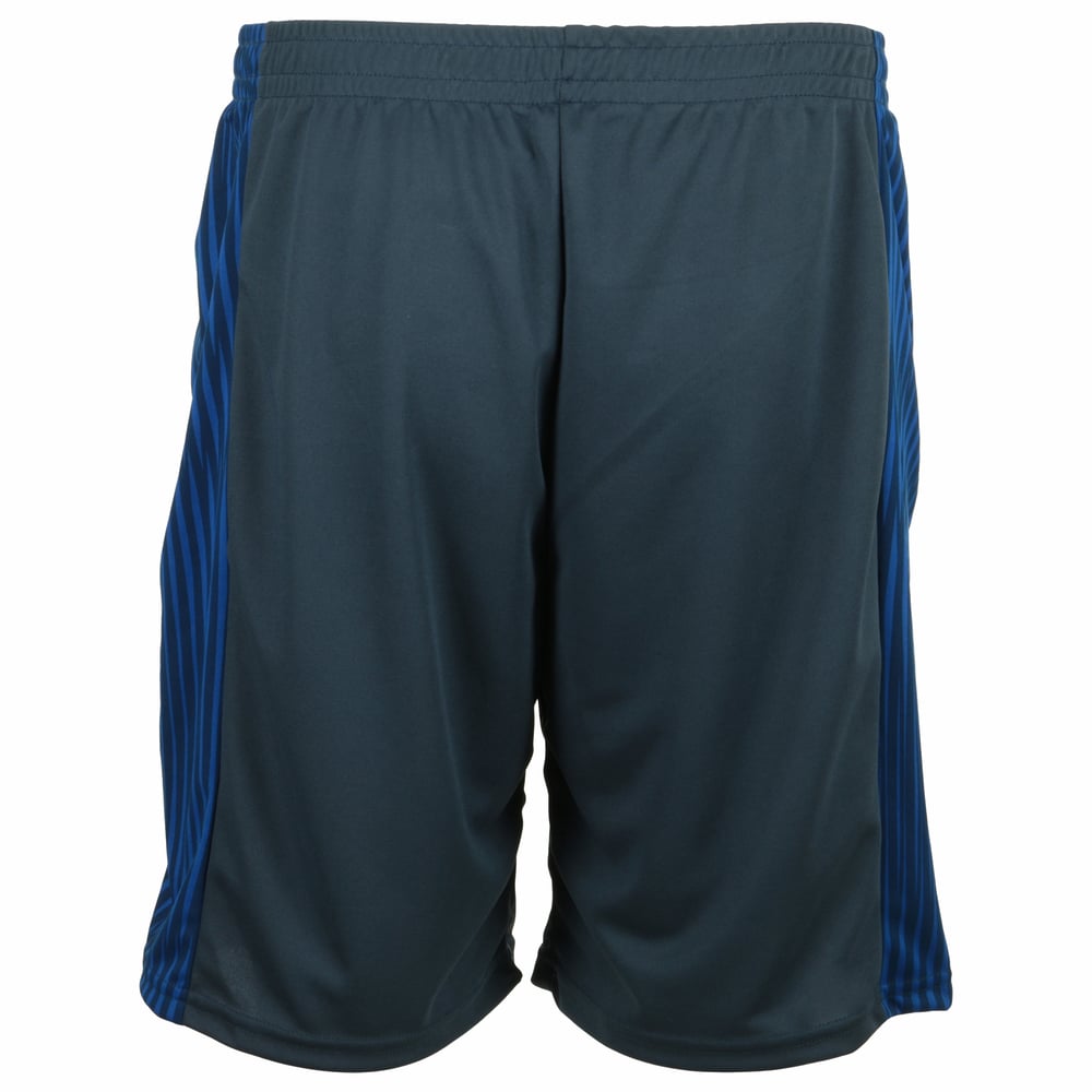 Herren Troyes 2024/25 Dritte Authentische Training Shorts