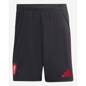 Men's Liverpool 2025/26 Away Shorts