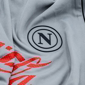Men's Napoli 2024/25 Third Authentic Training Shirt - Sliver