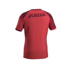 Herren Torino 2024/25 Dritte Authentisches Trainingsshirt