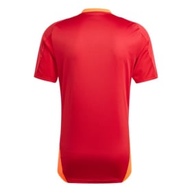 Herren Standard Liege 2024/25 Drittes Authentisches Trainingsshirt