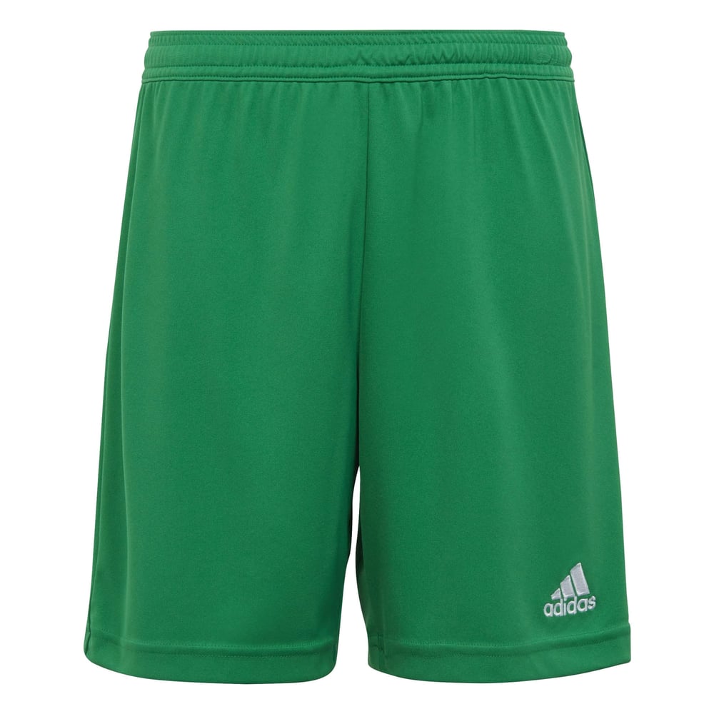 Men's Radomiak Radom 2024/25 Third Authentic Training Shorts