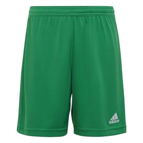 Men's Radomiak Radom 2024/25 Third Authentic Training Shorts