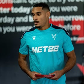 Herren Crystal Palace 2024/25 Dritttrikot Training Authentic