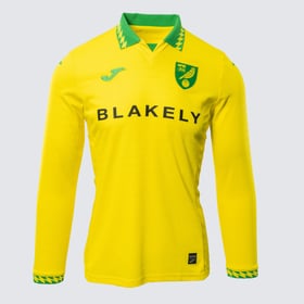 Damen Norwich City 2025/26 Heimtrikot Langarm