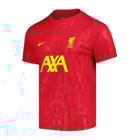 Men's Liverpool 2024/25 Home Pre Match Shirt