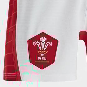 Men's Wales Rugby 2021 Shorts