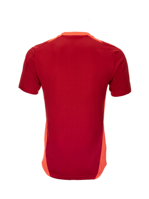 Herren Real Zaragoza 2024/25 Dritt Authentisches Trainingsshirt - Rot