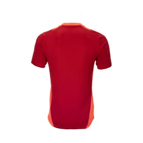 Herren Real Zaragoza 2024/25 Dritt Authentisches Trainingsshirt - Rot