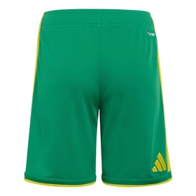 Herren Südafrika 2026 WM Heimshorts