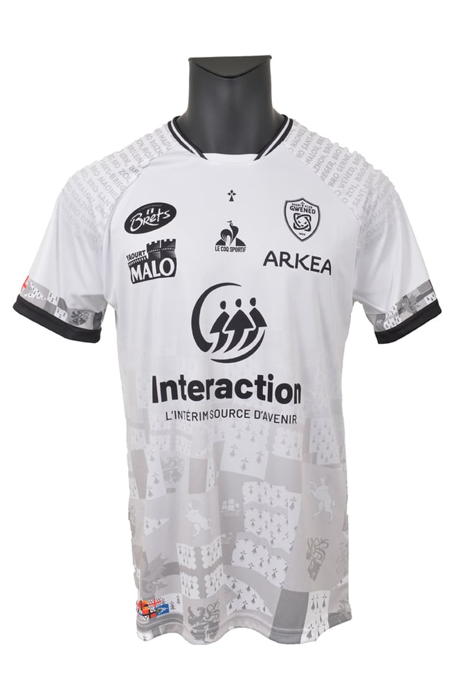 Women's RC Vannes 2024/25 Away Shirt