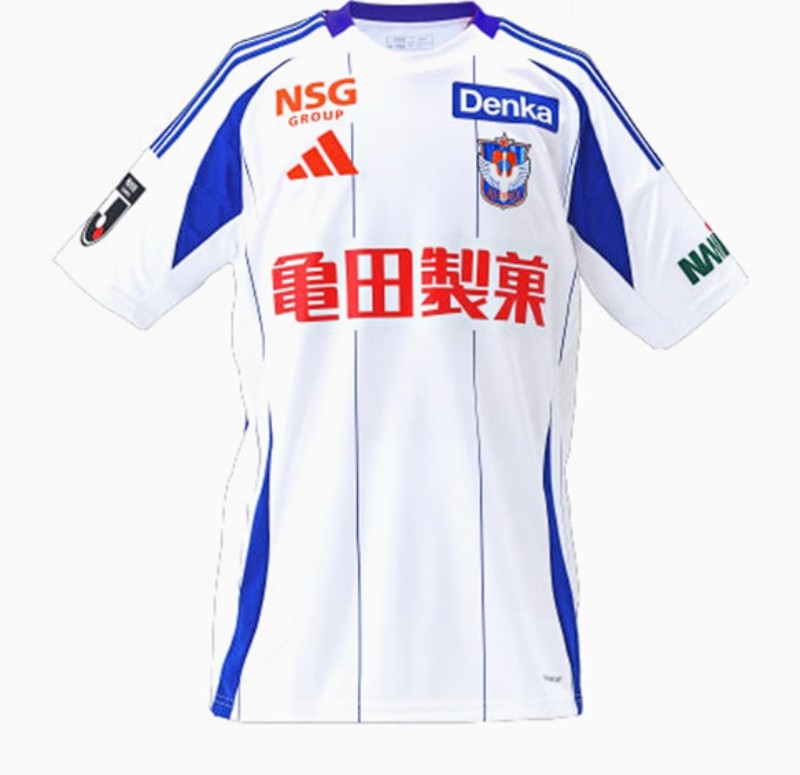 Herren Albirex Niigata 2025 Auswärtstrikot